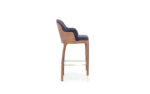 Charla Plus Barstool - Image 3