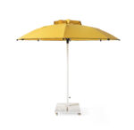 Naira Umbrella